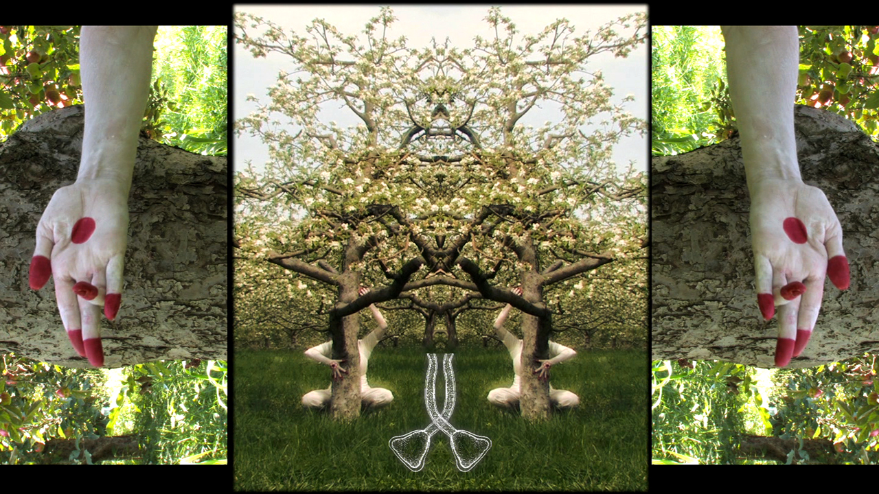 Dissecting the Blossom